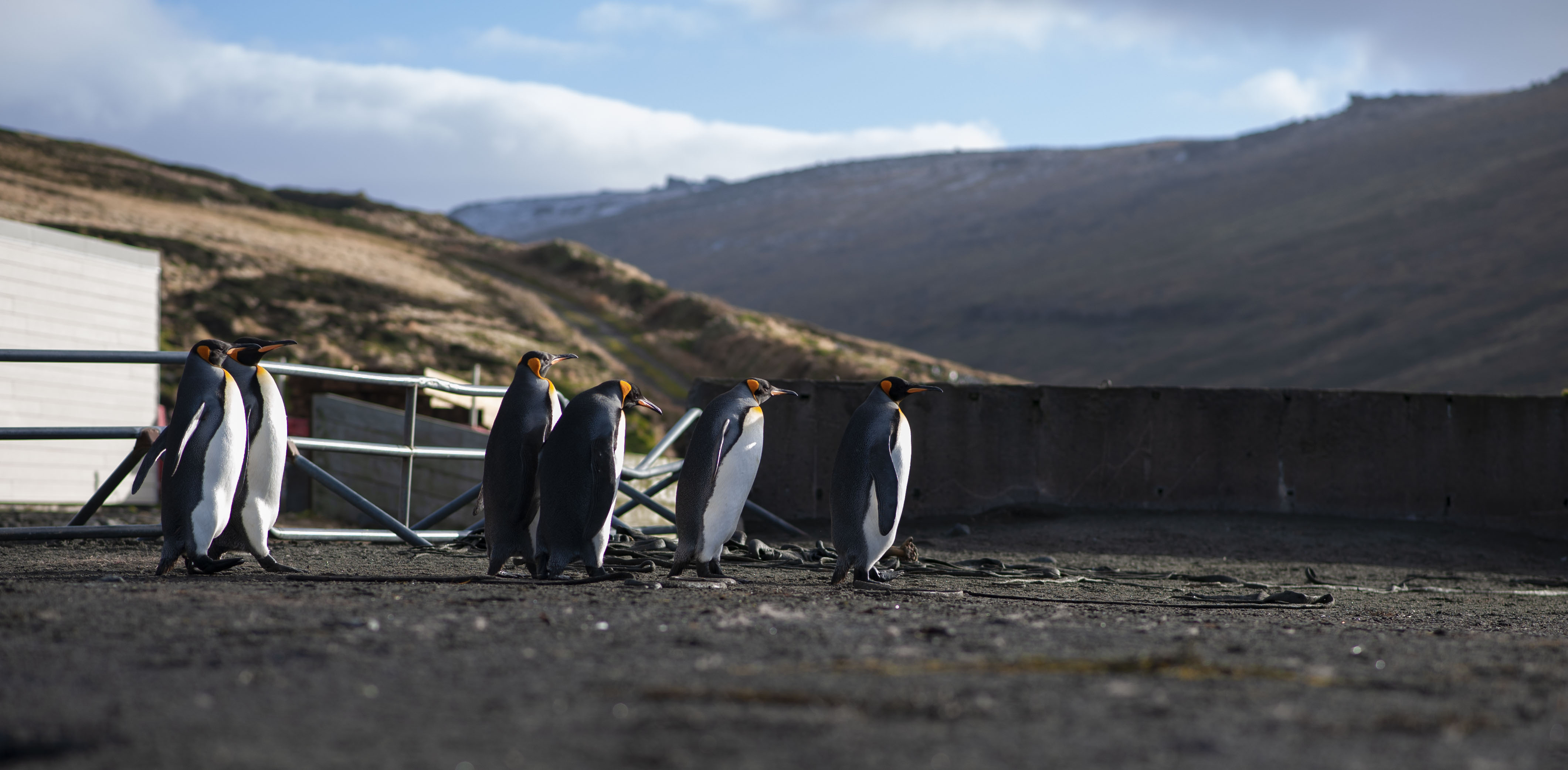 GYT 20220701 134112  DSC6240